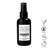 Spray 4Ever+Ever Finish x100ml Palladio