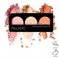 Paleta Iluminadora I'm Glowing x4.5g Palladio